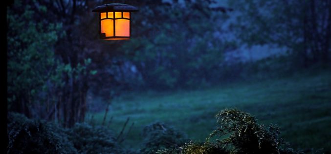 Lighting The Way Through Your Garden With Pathway Lighting