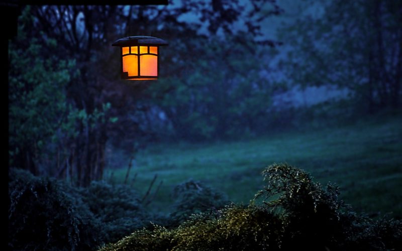 Lighting The Way Through Your Garden With Pathway Lighting