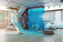 <span>photo image analysis:</span> If You Must Have an Nice Aquarium – Make It Big