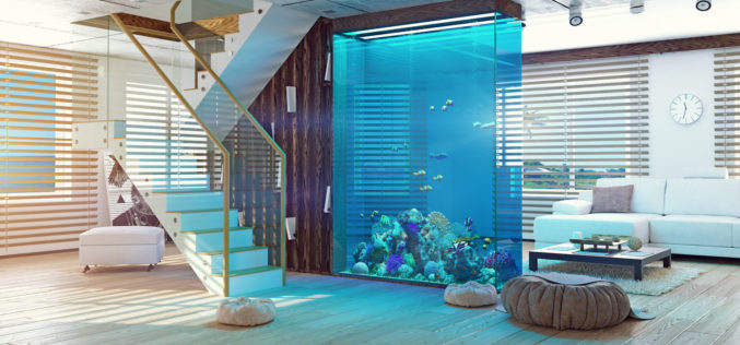 <span>photo image analysis:</span> If You Must Have an Nice Aquarium – Make It Big