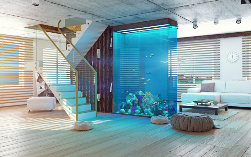 <span>photo image analysis:</span> If You Must Have an Nice Aquarium – Make It Big