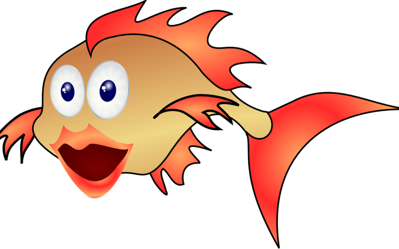 Something Different for Room Decor – Aquarium