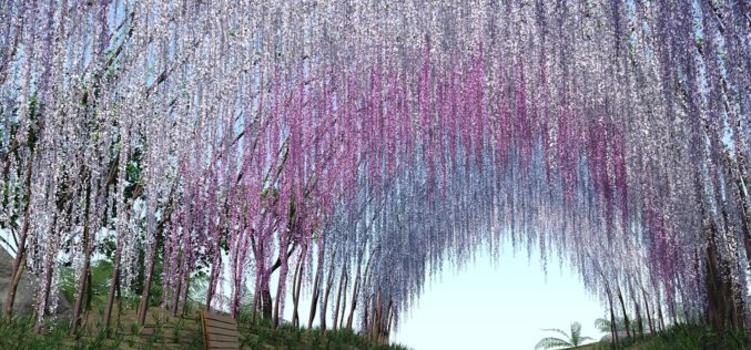 Using Landscape Contractors to Design and Maintain Your Yard