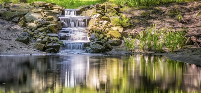 Backyard Pond with a Simple Waterfall