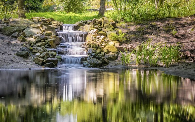 Backyard Pond with a Simple Waterfall