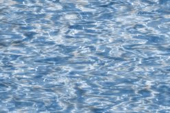 Addressing Swimming Pool Design, Installation and DYI