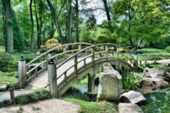 Wooden Garden Bridge Over Small Water Stream