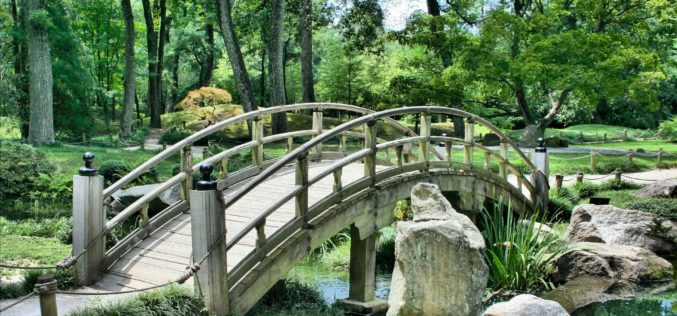 Wooden Garden Bridge Over Small Water Stream
