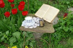 Finding Comfort When Reading Outside