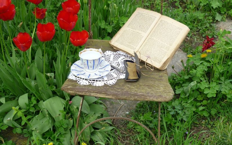 Finding Comfort When Reading Outside