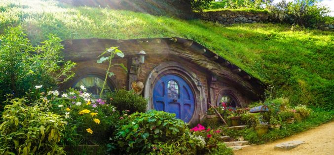 What Qualifies as an Eco-Friendly House?