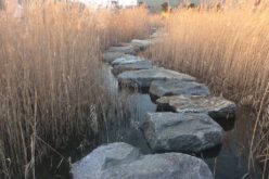 Using Stepping Stones as Your Walkway or Pathway