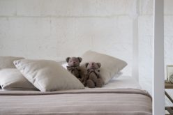 When You Need a Spare “Folding” Bed