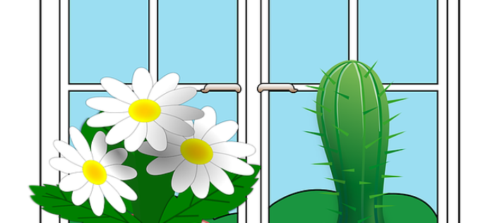 House Plants Can Help You Go Green
