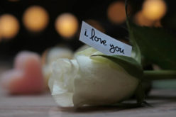 Happy Valentines Day – Did You Say I Love You?