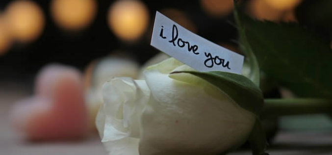 Happy Valentines Day – Did You Say I Love You?