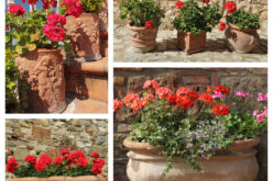 Have a Porch? You Got to Have a Porch Planter