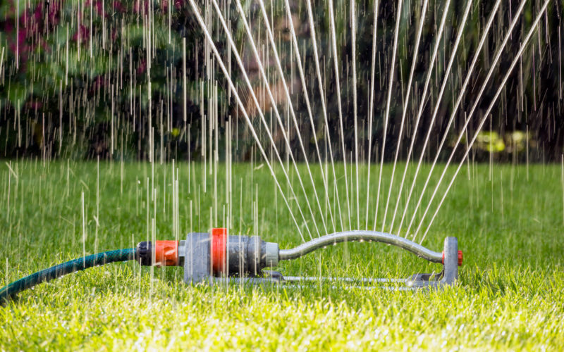 Keeping Your Landscape Watered
