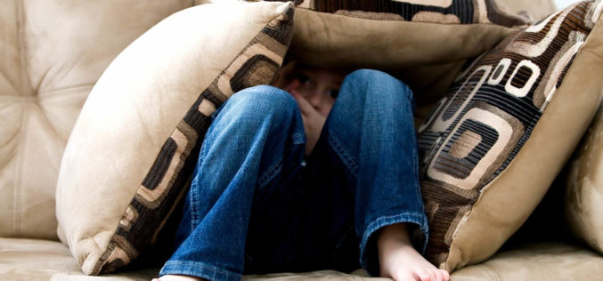 Intruders Beware! We Have a Pillow Fort to Defend