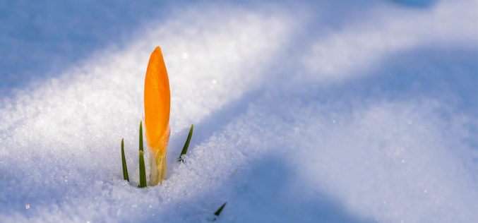 Let’s Welcome the First Day of Spring