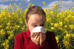 Keeping Your Home Free From Spring Allergens