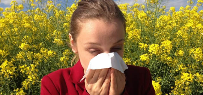 Keeping Your Home Free From Spring Allergens