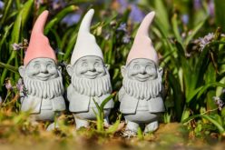 Using Garden Gnomes to Define a Yard Personality
