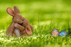 Happy Easter Morning!