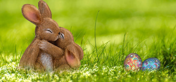 Happy Easter Morning!