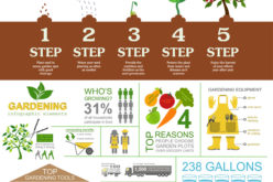 What You Might Need to Plant a Garden