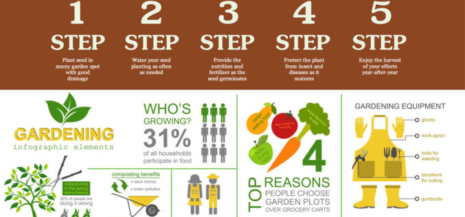 What You Might Need to Plant a Garden