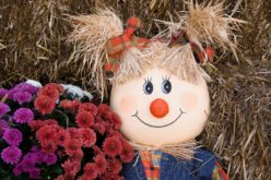Girl Scarecrow with Fall Mums