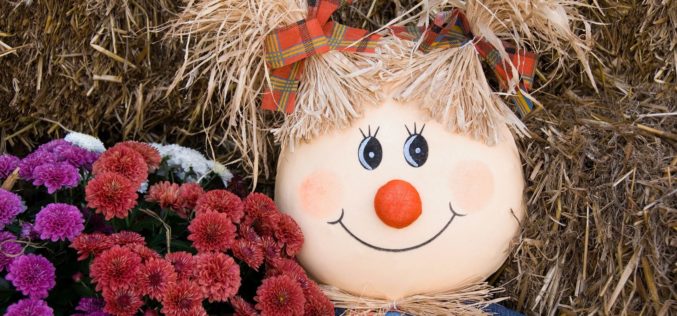 Girl Scarecrow with Fall Mums