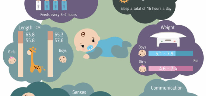 Series of Infant Growth and Caring Guides: 3-Month