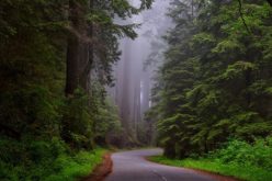 Traveling to the National Parks for the Summer
