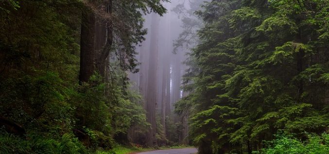 Traveling to the National Parks for the Summer