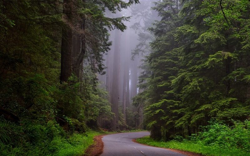 Traveling to the National Parks for the Summer