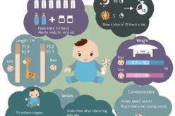 Series of Infant Growth and Caring Guides: 7-Month