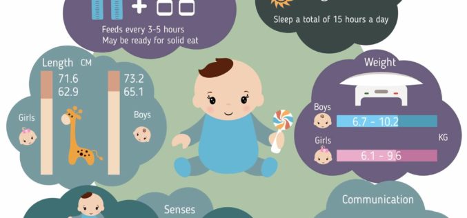 Series of Infant Growth and Caring Guides: 7-Month