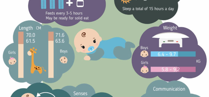 Series of Infant Growth and Caring Guides: 6-Month