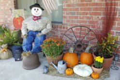 <span>photo image analysis:</span> Time to Plan Your Autumn Decorations