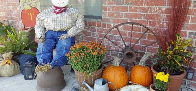 <span>photo image analysis:</span> Time to Plan Your Autumn Decorations