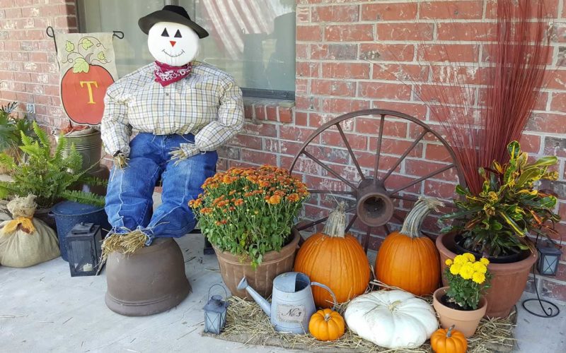<span>photo image analysis:</span> Time to Plan Your Autumn Decorations