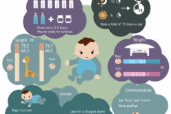 Series of Infant Growth and Caring Guides: 8-Month