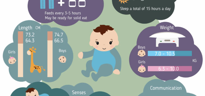 Series of Infant Growth and Caring Guides: 8-Month