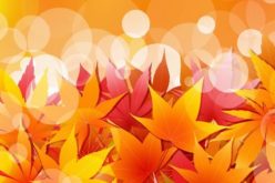 Decorating Ideas for the Approaching Autumn Season