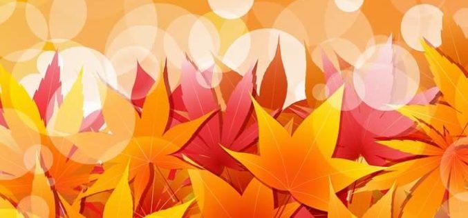 Decorating Ideas for the Approaching Autumn Season