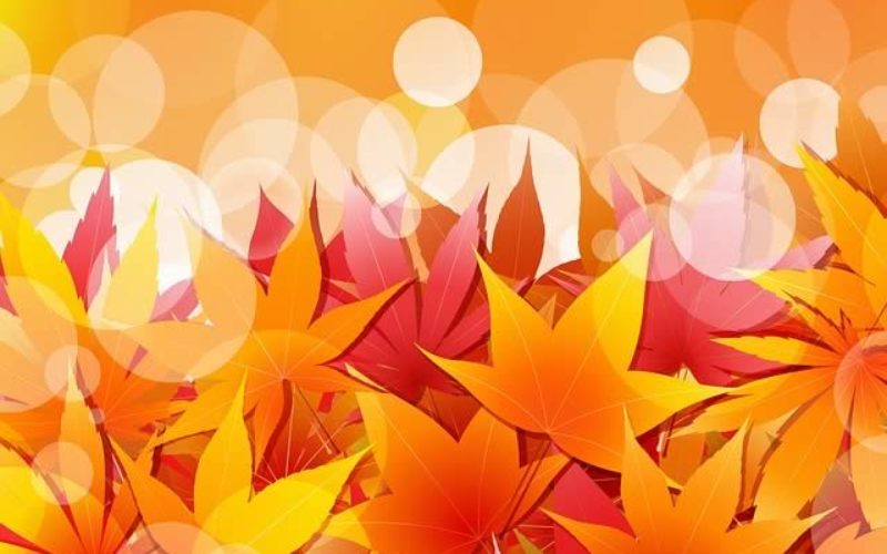 Decorating Ideas for the Approaching Autumn Season