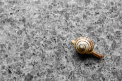 The Beauty of Granite Countertops