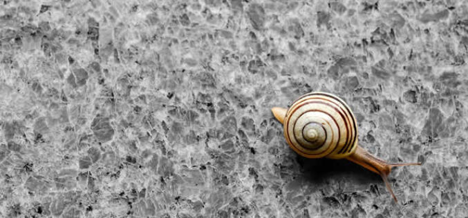 The Beauty of Granite Countertops